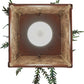 Meyda 5.5"sq Pine Branch Valley View Led Mini Pendant - 142074