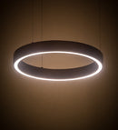 Meyda 16"w Anillo Halo Pendant- 179660