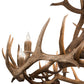 Meyda 56" Wide Antlers Elk 12 LT Chandelier- 200468