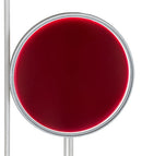 Meyda  82" Wide Paletta Wall Sconce- 213663