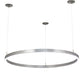 Meyda 50" Wide Anillo Halo Pendant- 215861