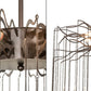 Meyda 48" Long Aranha Chandelier- 224475