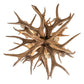 Meyda 20" Wide Antlers 6 Light Two Tier Chandelier- 240289