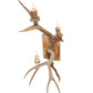 Meyda 12" Wide Antlers Elk & Mule Deer 3 Light Wall Sconce- 247843