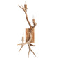 Meyda 12" Wide Antlers Elk & Mule Deer 3 Light Wall Sconce- 247843