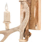 Meyda 12" Wide Antlers Elk & Mule Deer 3 Light Wall Sconce- 247843