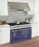 Kucht 48-Inch Pro-Style Dual Fuel Range in Stainless Steel with Blue Oven Door KDF482-B