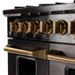 KUCHT Gemstone Professional 48-Inch 6.7 cu. ft. Natural Gas Range with Sealed Burners, Griddle/Grill and Two Ovens - One Convection - in Titanium Stainless Steel KEG483