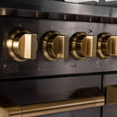 KUCHT Gemstone Professional 48-Inch 6.7 cu. ft. Natural Gas Range with Sealed Burners, Griddle/Grill and Two Ovens - One Convection - in Titanium Stainless Steel KEG483