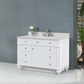 Design Element Winston 48" Single Vanity - White WN-48-W