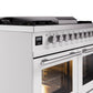 ILVE Professional Plus II 40-Inch Freestanding Dual Fuel Range with 6 Sealed Burner - UPD40FWMP