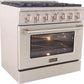 Kucht Professional 36 in. 5.2 cu ft. Natural Gas Range, Range Hood Package & Dishwasher, AP-KNG361-S-6