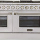 Kucht Professional 48 in. 6.7 cu ft. Natural Gas Range, Range Hood & Dishwasher Package, AP-KNG481-S-2