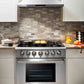 Thor Kitchen 2-Piece Pro Appliance Package - 36-Inch Gas Range & Premium Wall Mount Hood in Stainless Steel