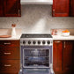 Thor Kitchen 30-Inch Gas Range with 5 Burners, 4.55 cu. ft Oven in Stainless Steel LRG3001U