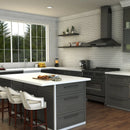 ZLINE Castor Kitchen Faucet with Color Options 