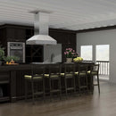 ZLINE Dual Remote Blower Island Mount Range Hood in Stainless Steel - 697i-RD