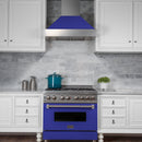 ZLINE DuraSnow Stainless Steel Range Hood with Blue Matte Shell 