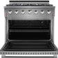 NXR 36 in. 5.5 cu.ft. Pro-Style Natural Gas Range with Convection Oven in Stainless Steel, SC3611
