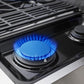 NXR 36 in. 5.5 cu.ft. Pro-Style Natural Gas Range with Convection Oven in Stainless Steel, SC3611