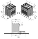 Forza 36" 6.0 cu. ft. Stainless Steel Pro-Style Gas Range - FR366GN