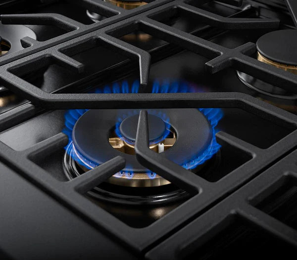 Forza 48" 7.8 cu. ft. Stainless Steel Pro-Style Gas Range - FR488GN