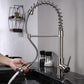 Lexora Lanuvio Brass Kitchen Faucet w/ Pull Out Sprayer - Brushed Nickel LKFS6011BN