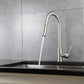 Lexora Olivi Brass Kitchen Faucet w/ Pull Out Sprayer - Brushed Nickel LKFS8011BN